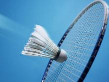 为马退役 为马退役