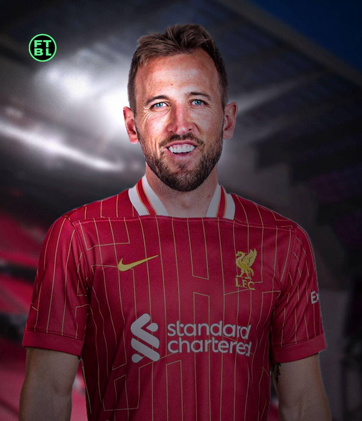 他们强调团 他们强调团