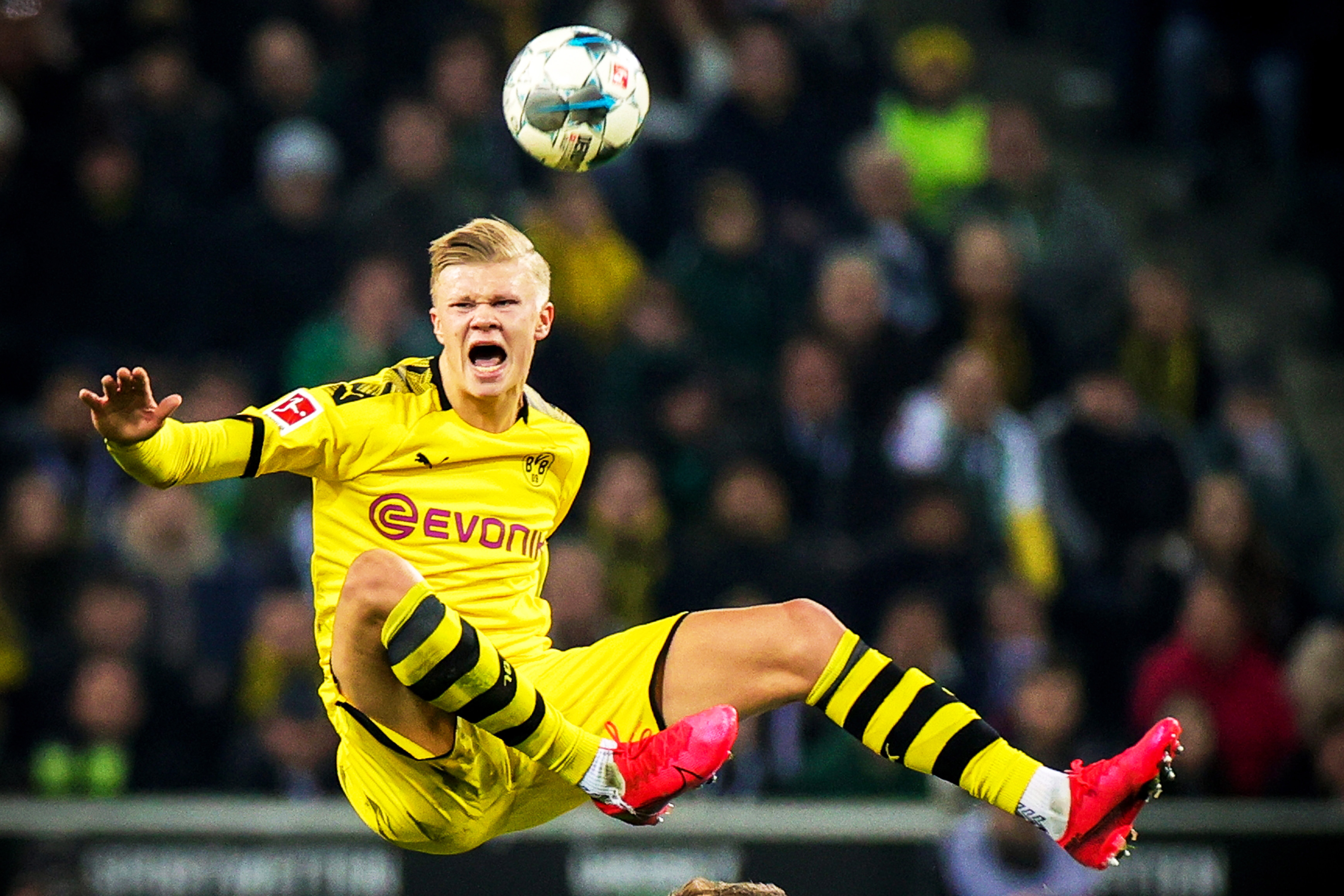 这份阿联酋 这份阿联酋