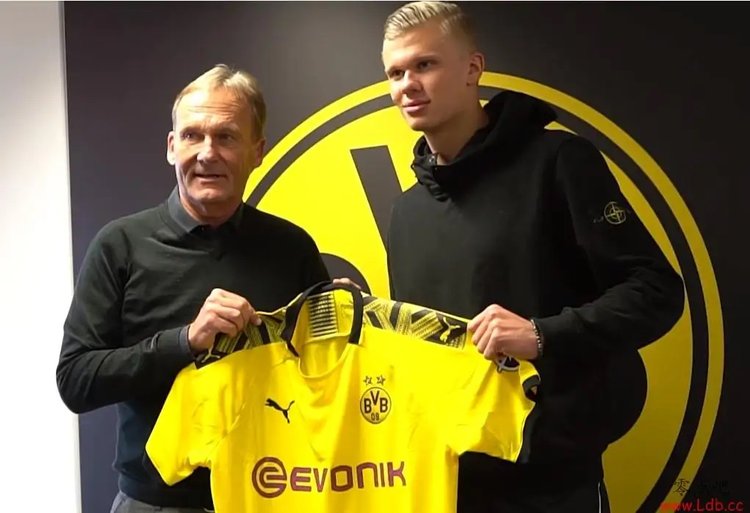 的队伍是 的队伍是